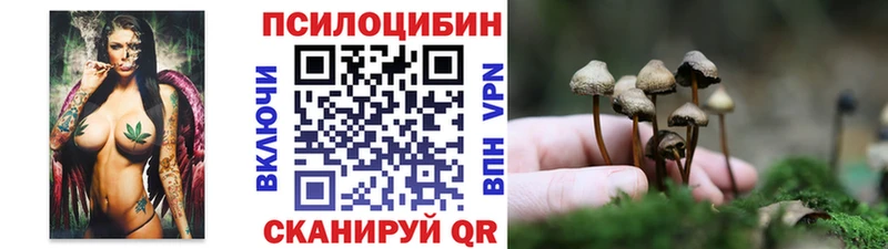 Галлюциногенные грибы MAGIC MUSHROOMS нарко площадка телеграм Волчанск закладки OMG ONION
